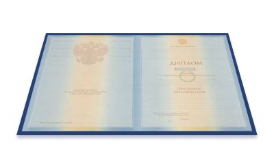 Диплом магистра 2011-2013